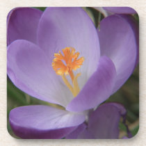 Purple spring flower cork coasters