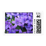 Purple Springtime Flowers Postage