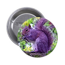Purple Squirrel Pin