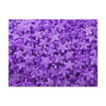Purple Star Cereal Post Card