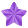 Purple Star Optical Illusion Stickers