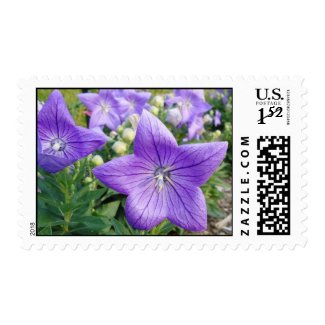 Purple Star stamp