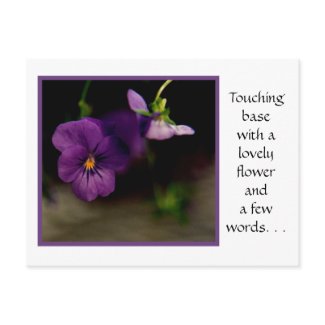 Purple Star Postcard postcard