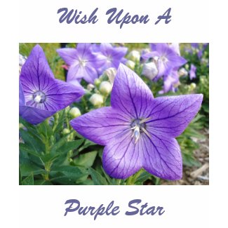 Purple Star shirt