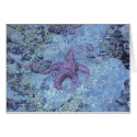 Purple Starfish cards