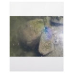 PURPLE STARFISH IN THE WATER LETTERHEAD