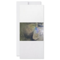 PURPLE STARFISH IN THE WATER RACK CARDS