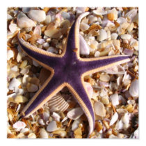 Purple Starfish posters by Debfaye Purple Starfish posters