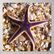 Purple Starfish print