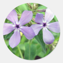Purple Sticker