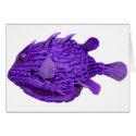Purple Striped Cowfish cards
