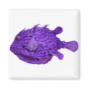Purple Striped Cowfish magnets