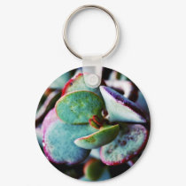 Purple Succulent keychains