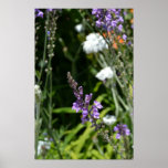 Purple Summer Blossoms Print