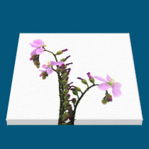 Purple Sundew Flowers canvas prints