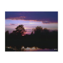 Purple Sunset Postcard