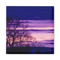 Purple Sunset Tree Silhouette fridge magnet magnets