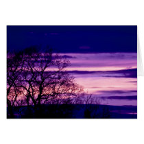 Purple Sunset Tree Silhouette note card cards