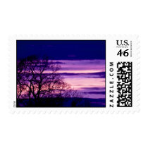Purple Sunset Tree Silhouette postage stamps stamps
