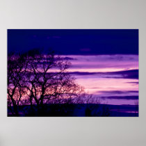 Purple Sunset Tree Silhouette poster print posters