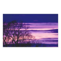 Purple Sunset Tree Silhouette rectangle stickers stickers