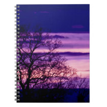 Purple Sunset Tree Silhouette spiral notebook notebooks