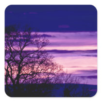Purple Sunset Tree Silhouette square stickers stickers