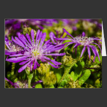 Purple Sympathy Flowers Greeting Card cards