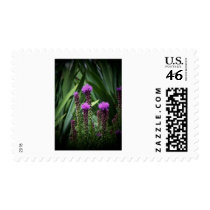 purple tasseld flower postage by PhotoLisa purple tasseld flower postage