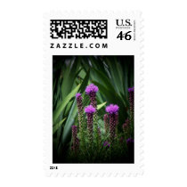 purple tasseld flower postage by PhotoLisa purple tasseld flower postage