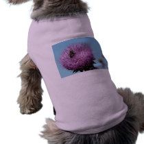 purple thistle with bee pet clothing