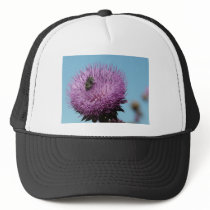 purple thistle with bee hats