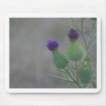 Purple Thistles mousepads