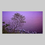 Purple Tree fine art print