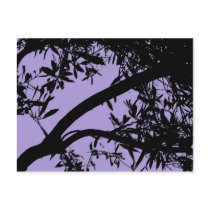 Purple Tree Postcard