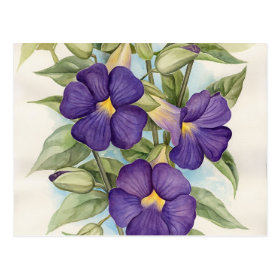 Purple Tropical Flower Painting - Multi Postcard