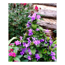 Purple Trumpet flowers posters by Quiltstar Purple Trumpet flowers posters