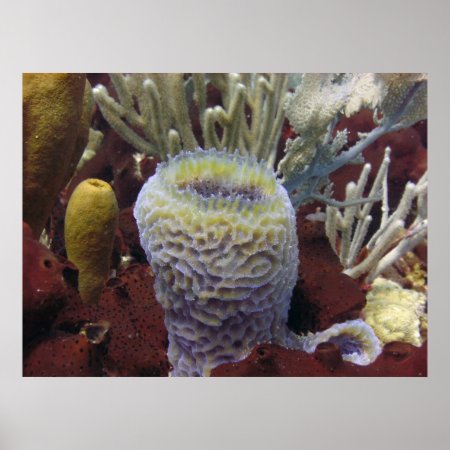 Purple Tube print