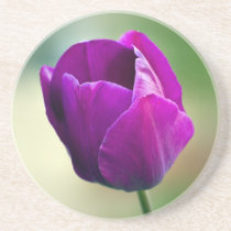 Purple Tulip Beverage Coaster