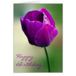 Purple Tulip Birthday Card