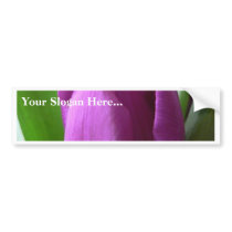 Purple Tulip bumper stickers