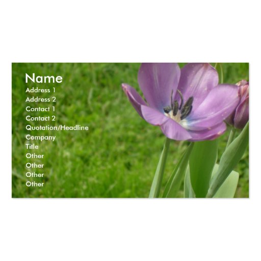Purple Tulip Business Card (front side)