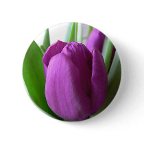Purple Tulip buttons