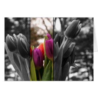 Purple Tulip card