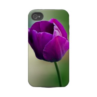 Purple Tulip casemate_case