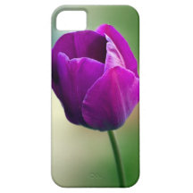 Purple Tulip iPhone 5 Cases