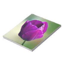 Purple Tulip Memo Pads