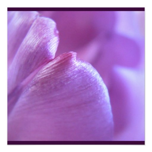 Purple Tulip Petal Invitation