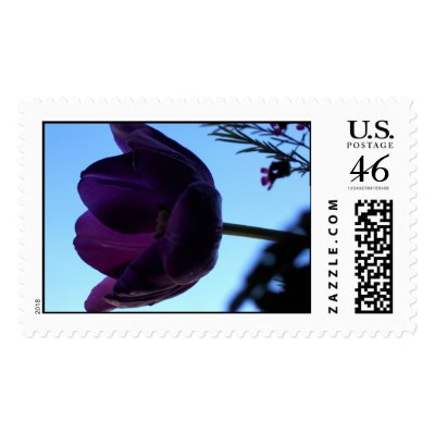 Purple Tulip Postage Stamp