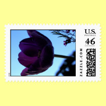 Purple Tulip postage